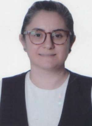 Dr. Öğr. Üyesi Duygu DEMİROL DUYAR