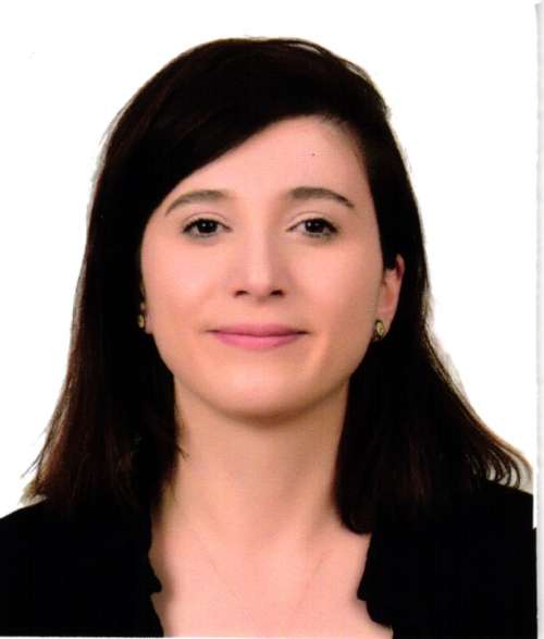  Hatice BEŞEREN HAVADAR